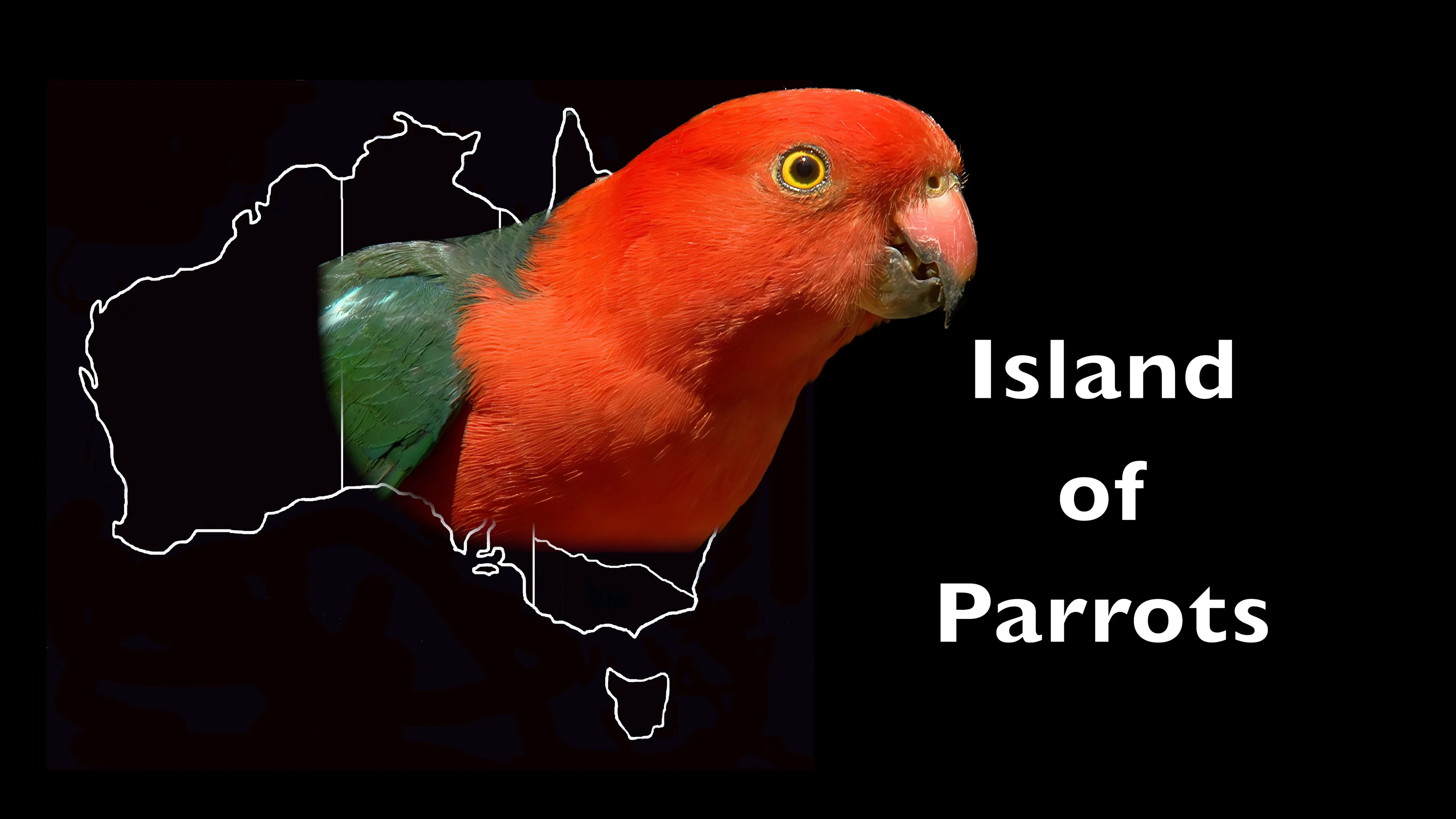 Island of Parrots poster